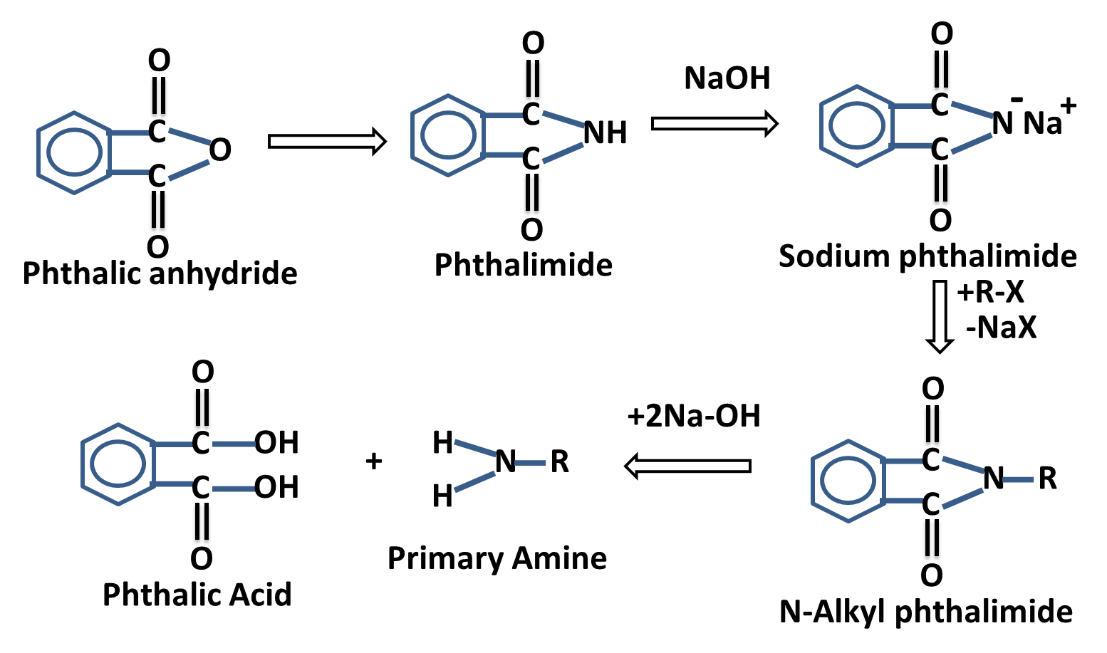 WRITE SHORT NOTE ON GABRIEL PHTHALIMIDE REACTION intelligence overview